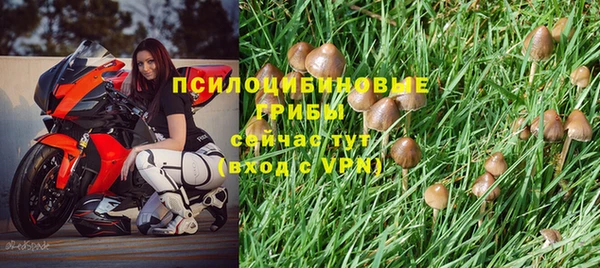 ALPHA-PVP Иноземцево