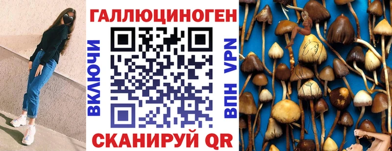 Псилоцибиновые грибы Magic Shrooms  как найти закладки  OMG онион  Волоколамск 