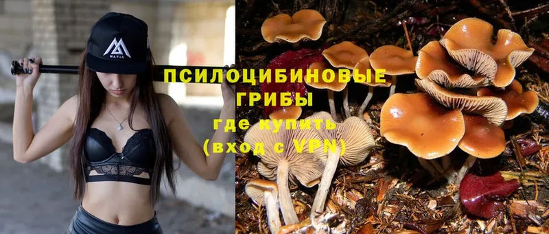 Псилоцибиновые грибы MAGIC MUSHROOMS  Волоколамск 