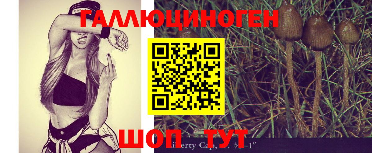 Волоколамск  Галлюциногенные грибы мухоморы  Вход с VPN 