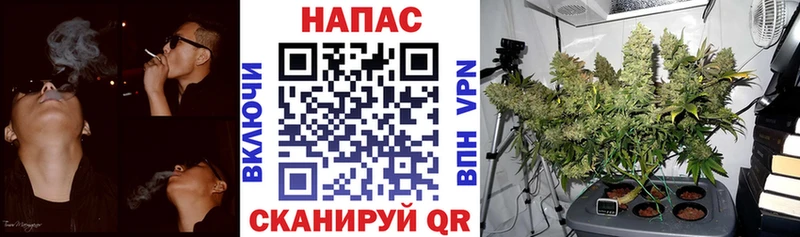 Бошки Шишки семена Волоколамск